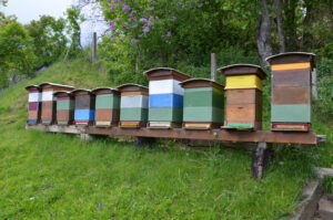 Bienenstand in Glantschach